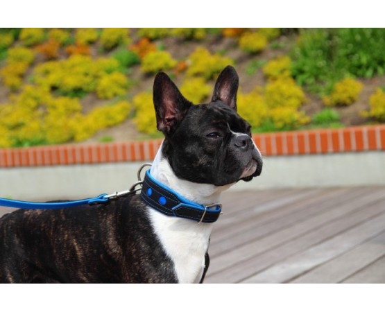 Zgarda de lux pentru caini Light Reflect