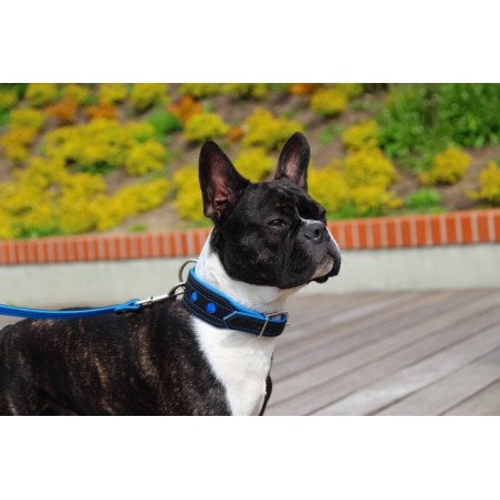 Zgarda de lux pentru caini Light Reflect