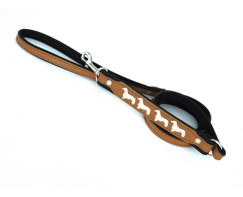 Lesa de lux pentru Teckel ( Dachshund )