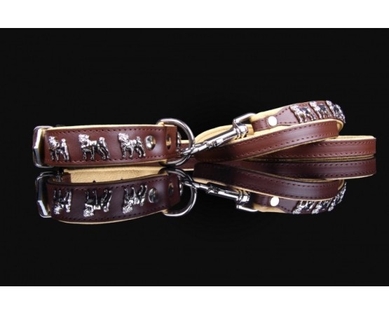 Lesa de lux pentru Pug ( Mops )