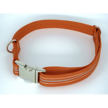 Zgarda pentru caini Reflex Clear Light