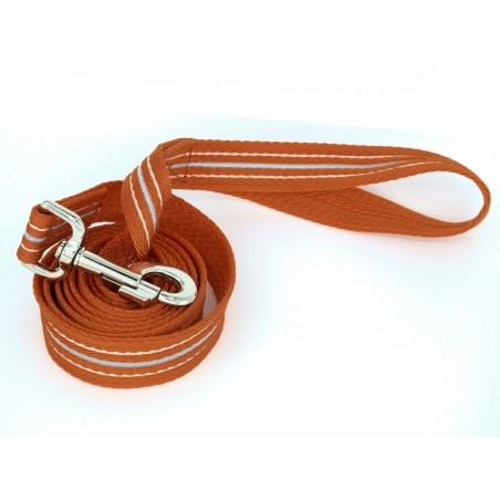 Lesa pentru caini Reflex Clear Light