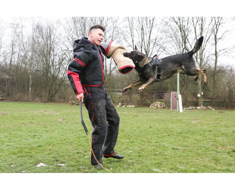 Manson profesional de protectie pentru dresaj canin ( Mediu )