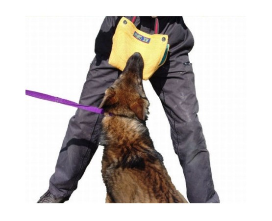 Perna de muscatura profesionala pentru dresaj canin Euro Joe