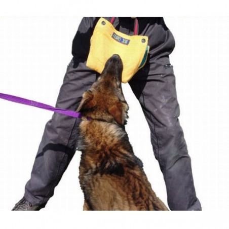 Perna de muscatura profesionala pentru dresaj canin Euro Joe