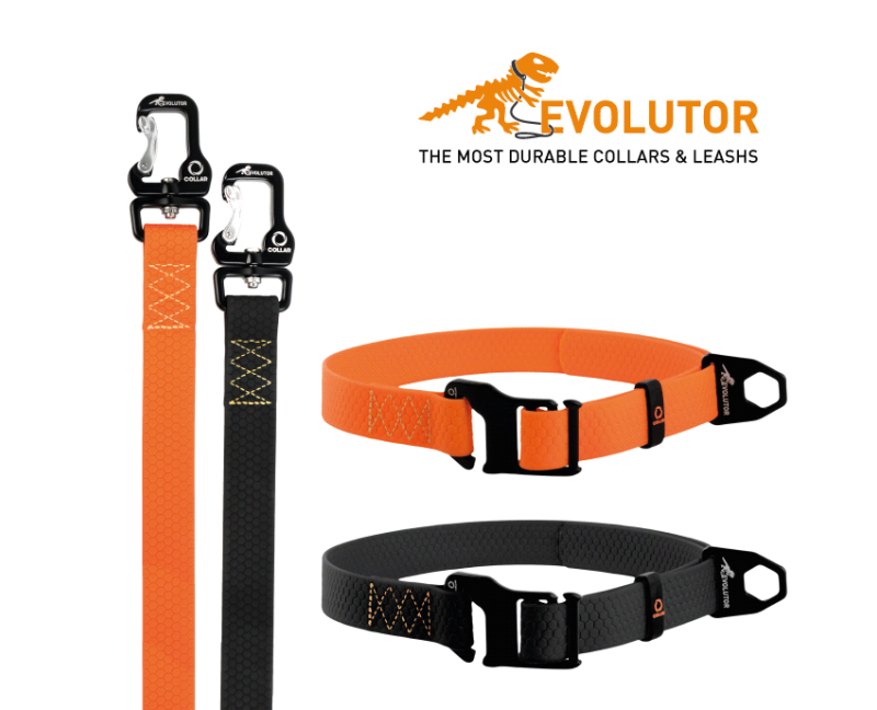 Zgarda reglabila pentru caini Evolutor