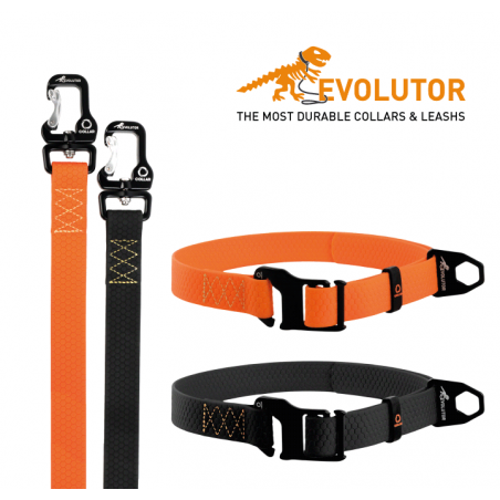 Zgarda reglabila pentru caini Evolutor