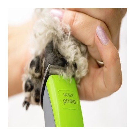 Masina de tuns caini Mozer Prima Hair Clipper ( set )