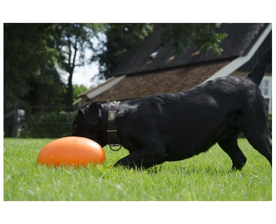 Jucarie interactiva pentru caini Everlasting Egg 30 cm