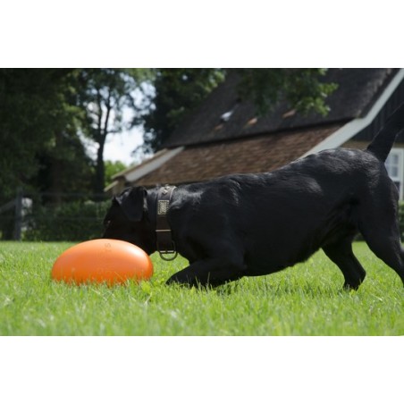 Jucarie interactiva pentru caini Everlasting Egg 30 cm