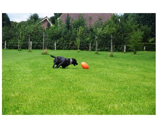 Jucarie interactiva pentru caini Everlasting Egg 30 cm