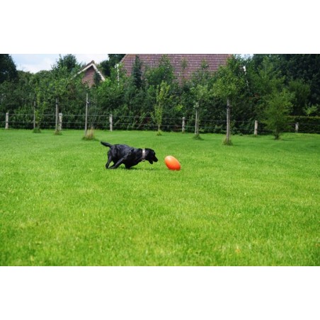 Jucarie interactiva pentru caini Everlasting Egg 30 cm