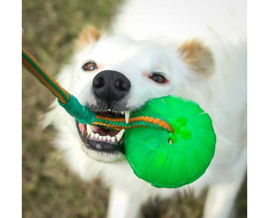 Minge cu snur pentru caini Swing ' n Fling Chew Ball Academia Starmark  ( M )