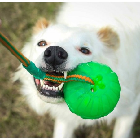 Minge cu snur pentru caini Swing ' n Fling Chew Ball Academia Starmark  ( M )