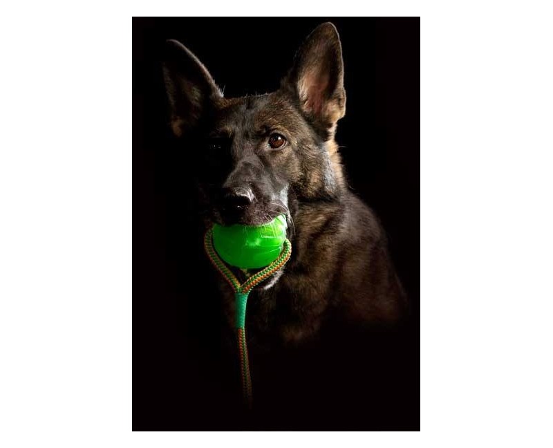 Minge cu snur pentru caini Swing ' n Fling Chew Ball Academia Starmark ( M / L )