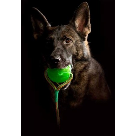 Minge cu snur pentru caini Swing ' n Fling Chew Ball Academia Starmark ( M / L )