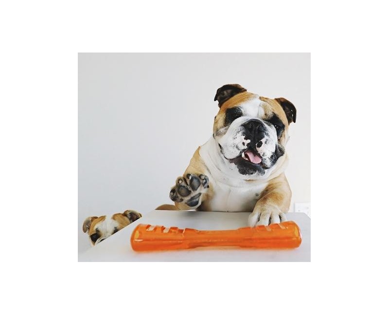 Jucarie interactiva pentru caini Bionic Urban Stick ( XL )