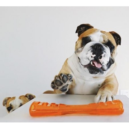 Jucarie interactiva pentru caini Bionic Urban Stick ( XL )