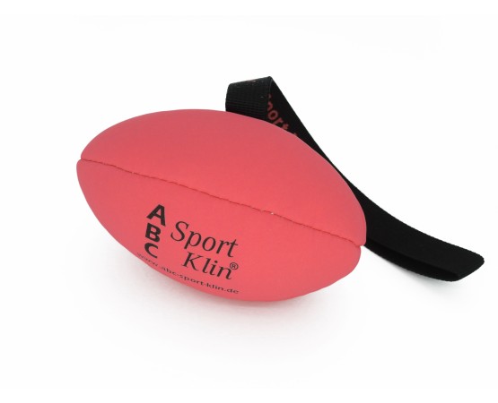 Minge de rugby pentru caini