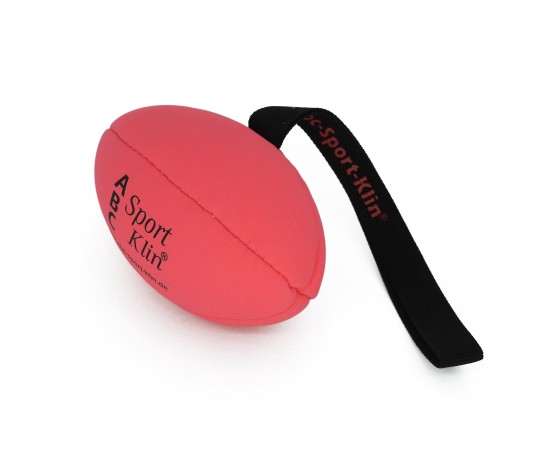 Minge de rugby pentru caini