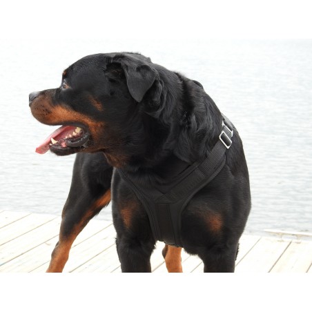 Ham profesional pentru caini