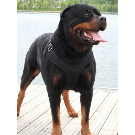 Ham profesional pentru caini