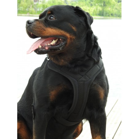 Ham profesional pentru caini