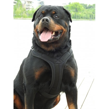 Ham profesional pentru caini