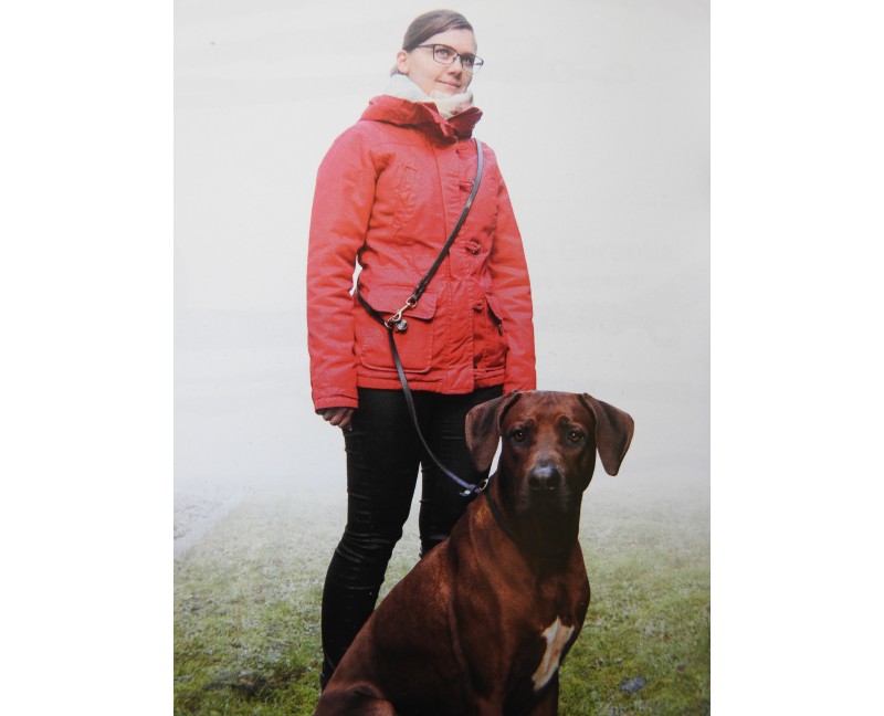 Lesa cu zgarda din piele pentru caini Hands Free