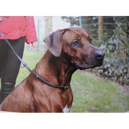 Lesa cu zgarda din piele pentru caini Hands Free