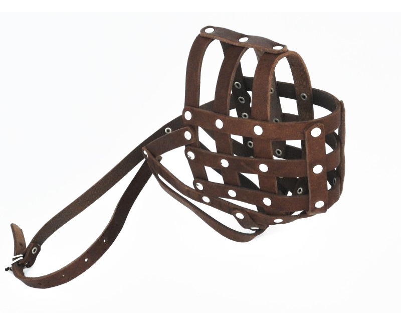 Botnita piele Caucazian , Pazitorul Moscovei , Terra Nova . Sara Dog