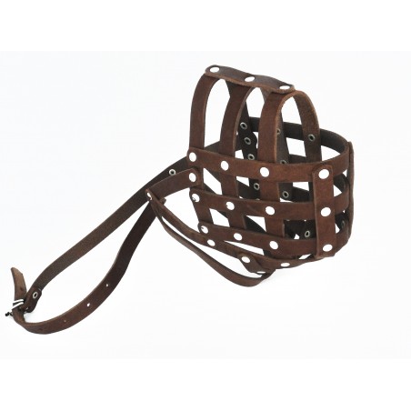 Botnita piele Caucazian , Pazitorul Moscovei , Terra Nova . Sara Dog