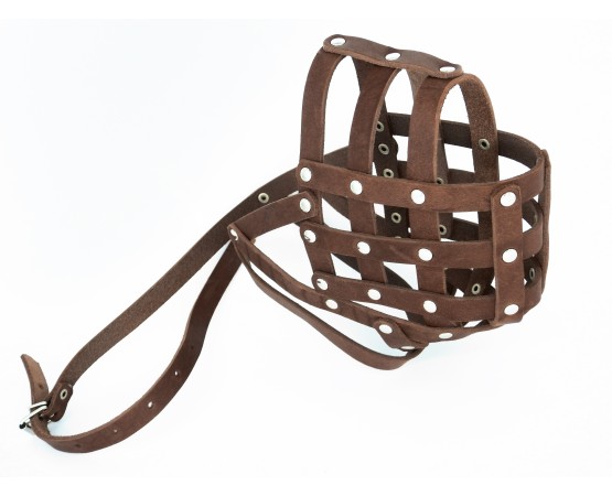 Botnita piele Caucazian , Pazitorul Moscovei , Terra Nova . Sara Dog