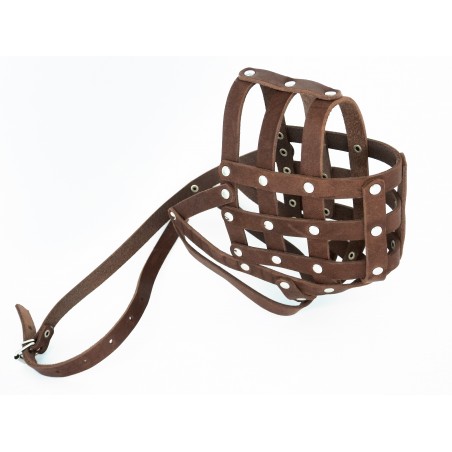 Botnita piele Caucazian , Pazitorul Moscovei , Terra Nova . Sara Dog