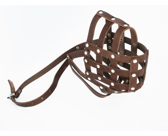 Botnita piele Caucazian , Pazitorul Moscovei , Terra Nova . Sara Dog