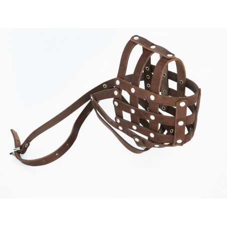 Botnita piele Caucazian , Pazitorul Moscovei , Terra Nova . Sara Dog