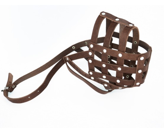 Botnita piele Caucazian , Pazitorul Moscovei , Terra Nova . Sara Dog