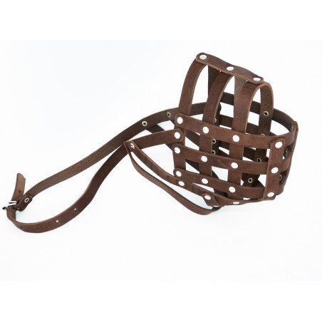 Botnita piele Caucazian , Pazitorul Moscovei , Terra Nova . Sara Dog