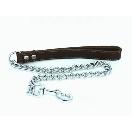 Lesa metalica pentru caini Sara Dog