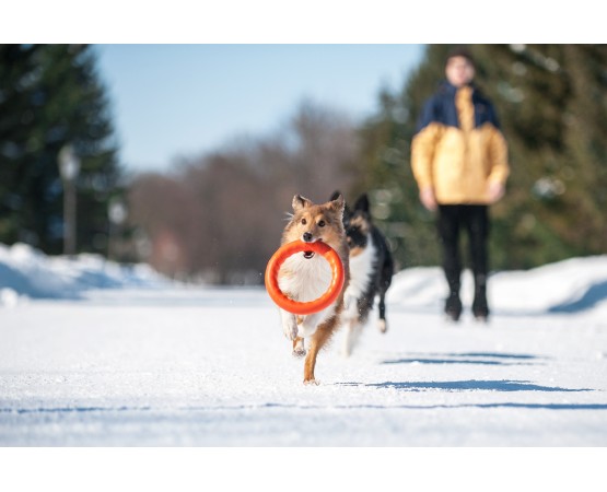 Jucarie caini Pitch Dog