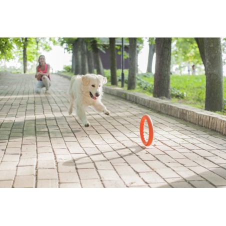 Jucarie caini Pitch Dog