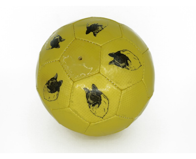 Minge de fotbal pentru caini