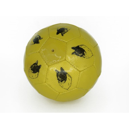 Minge de fotbal pentru caini