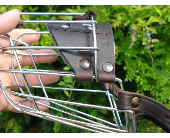 Botniţă mascul ciobănesc german