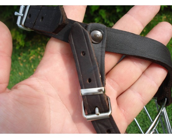 Botniţă mascul ciobănesc german