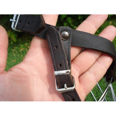 Botniţă mascul ciobănesc german