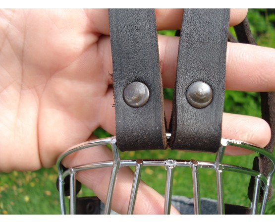 Botniţă mascul ciobănesc german