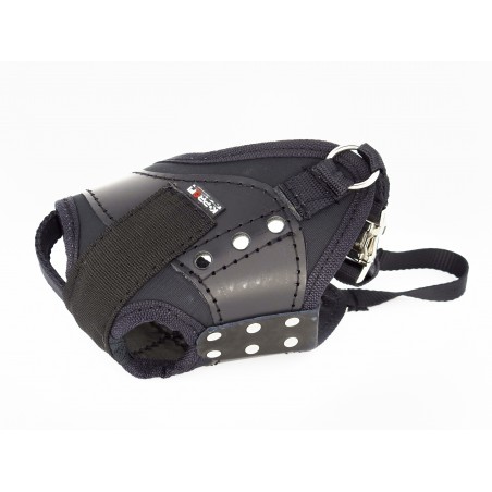 Botnita profesionala pentru Rottweiler