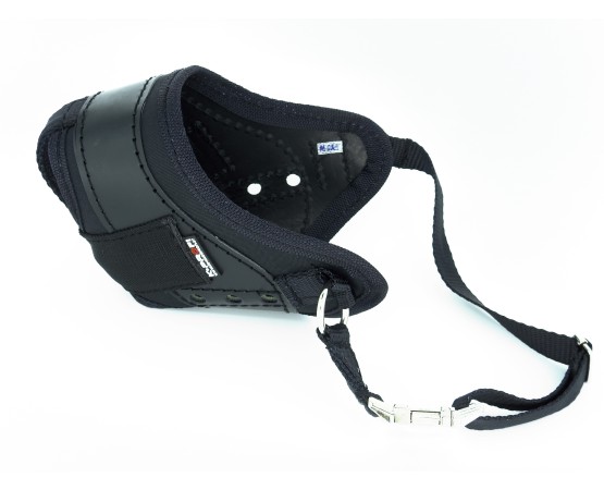 Botnita profesionala pentru Rottweiler