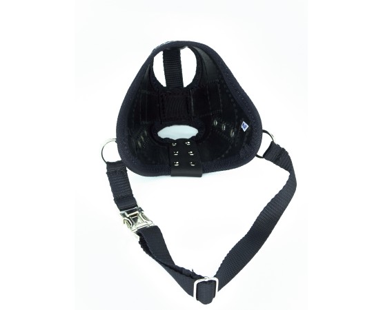 Botnita profesionala pentru Rottweiler